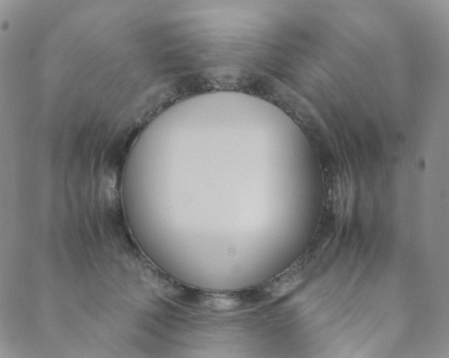 X0000089410610200707061256