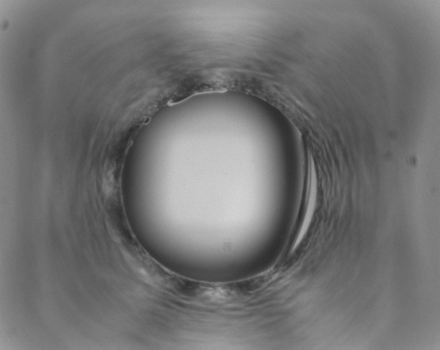 X0000089410611200707061256