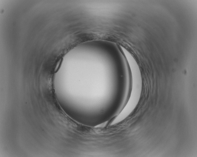 X0000089410613200707061255
