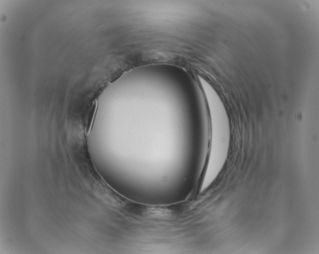 X0000089410617200707061255