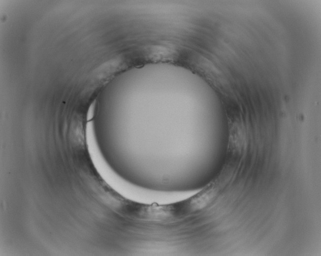 X0000089410622200707061255