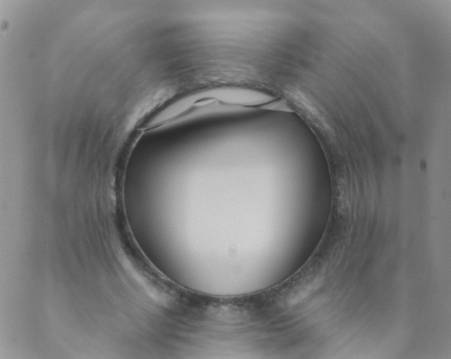 X0000089410634200707061255