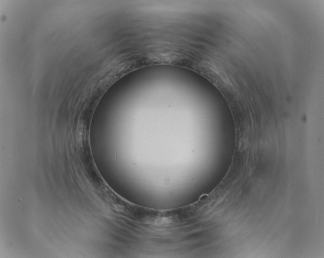 X0000089410647200707061255