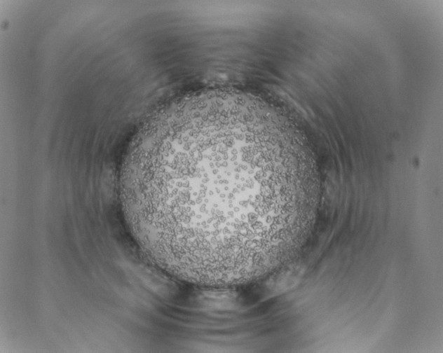 X0000089410659200707061255
