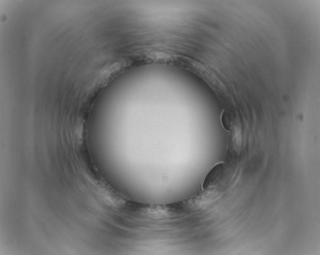 X0000089410668200707061255