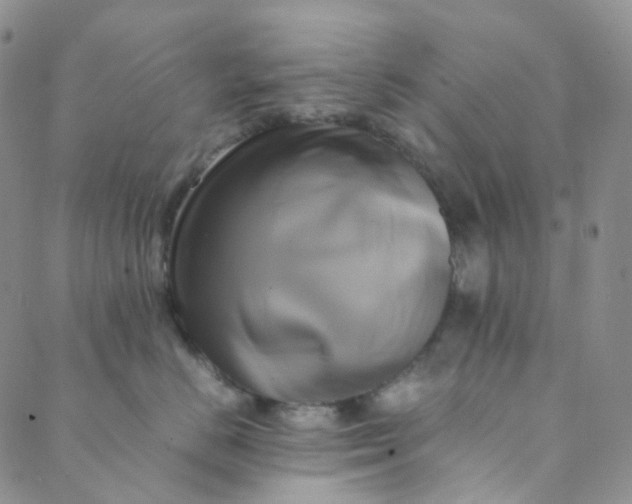 X0000089410670200707061255