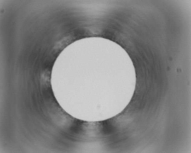 X0000089410672200707061255