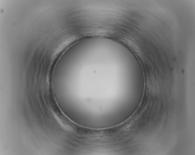 X0000089410674200707061255