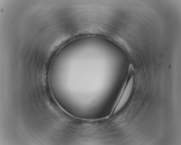 X0000089410680200707061254