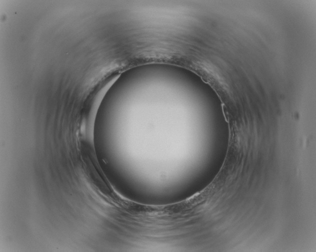 X0000089410692200707061254