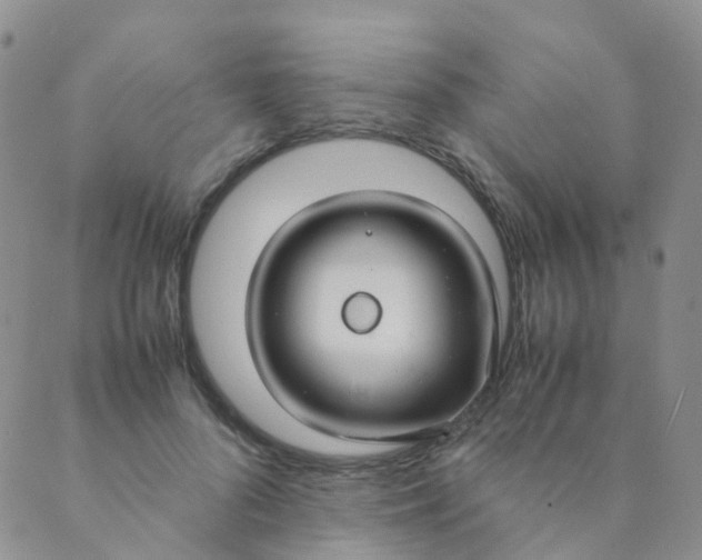 X0000089410696200707061254