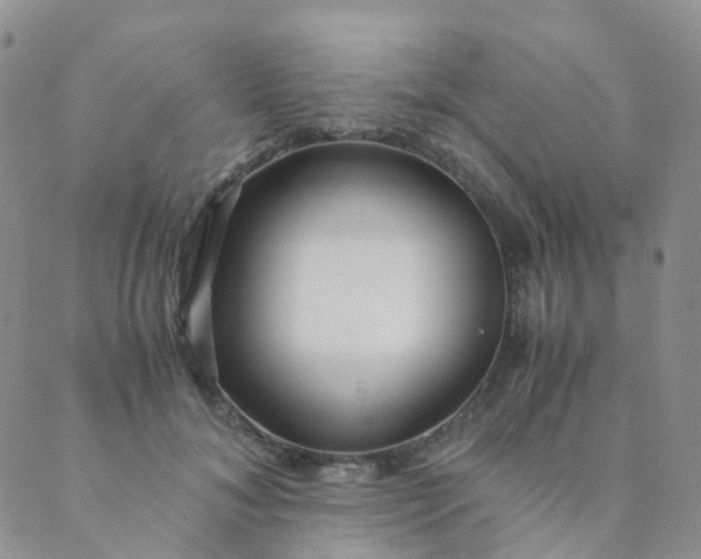 X0000089410700200707061254