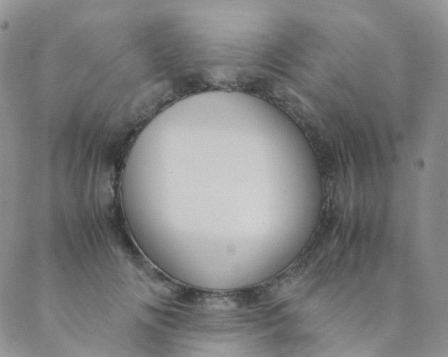 X0000089410702200707061254