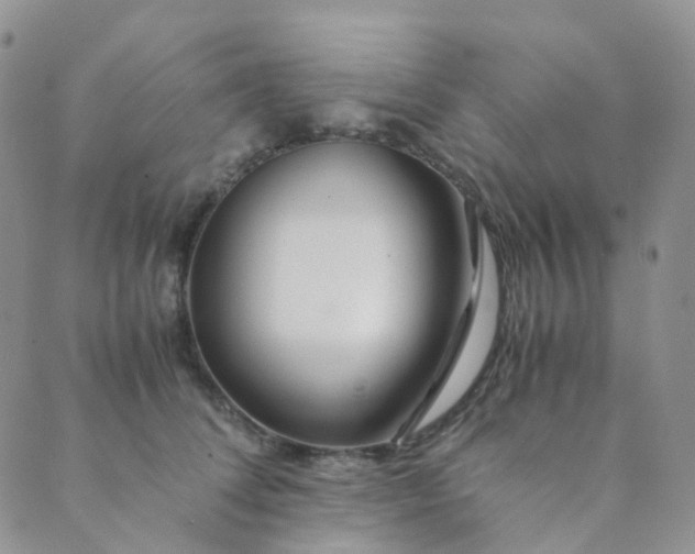 X0000089410708200707061254