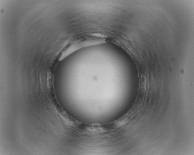X0000089410712200707061254