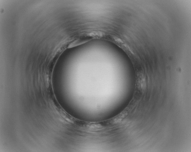 X0000089410716200707061254