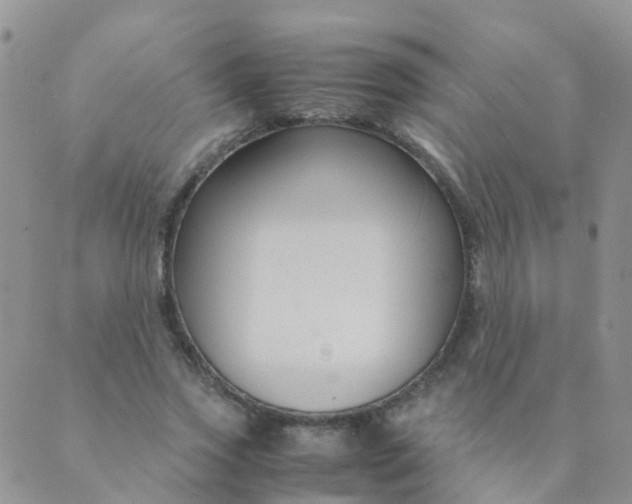 X0000089410733200707061253