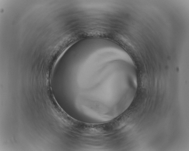 X0000089410737200707061253