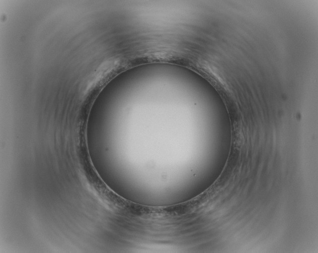 X0000089410738200707061253