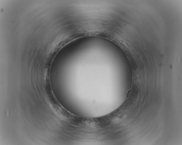 X0000089410742200707061253