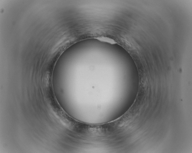 X0000089410744200707061253