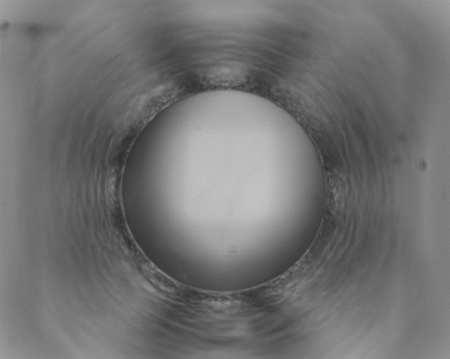 X0000089410745200707061253