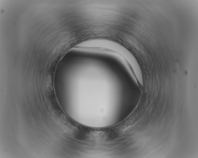 X0000089410748200707061253