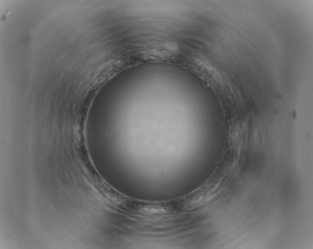 X0000089410749200707061253