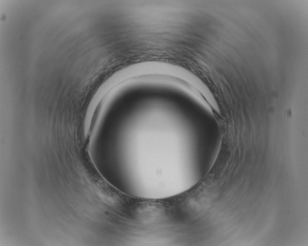 X0000089410750200707061253