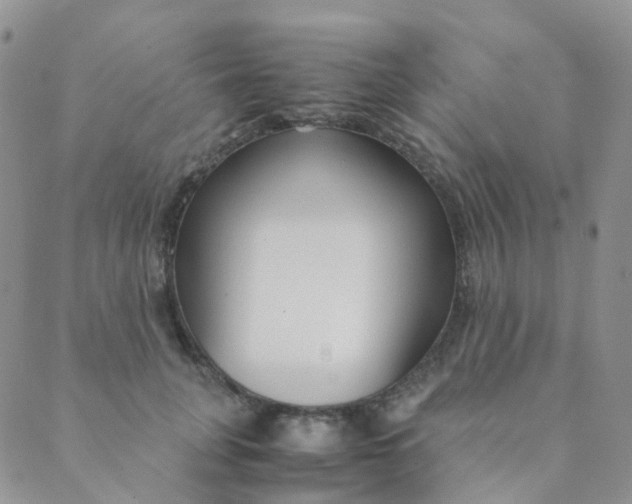 X0000089410751200707061253