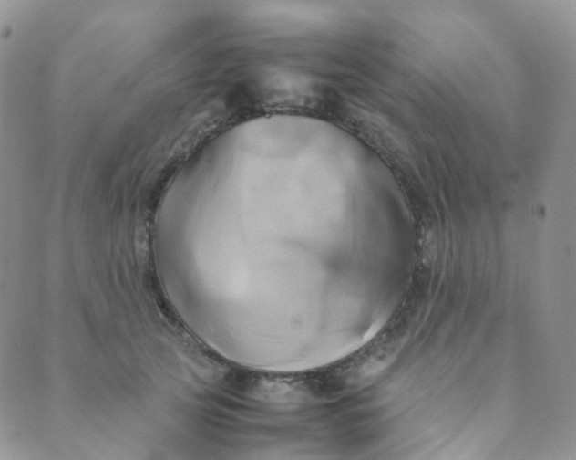 X0000089410753200707061254