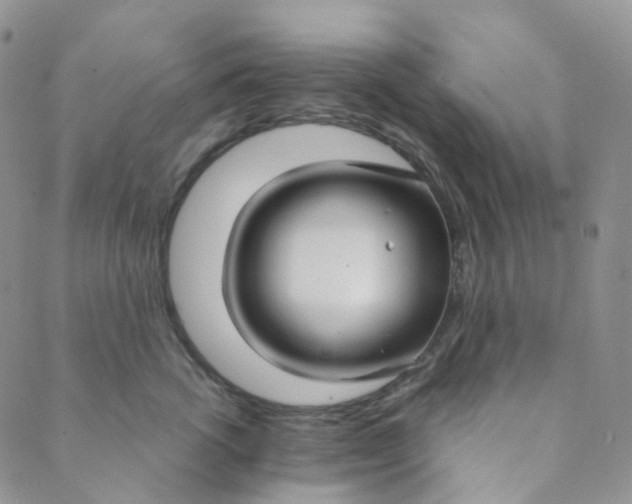X0000089410762200707061254