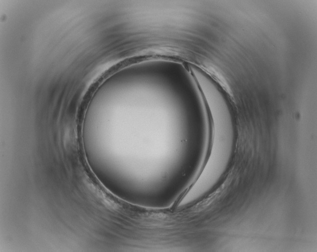 X0000089410784200707061253