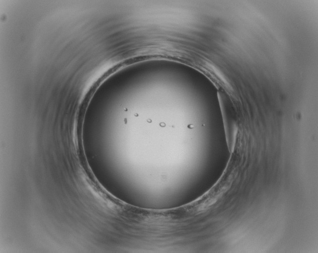 X0000089410788200707061253