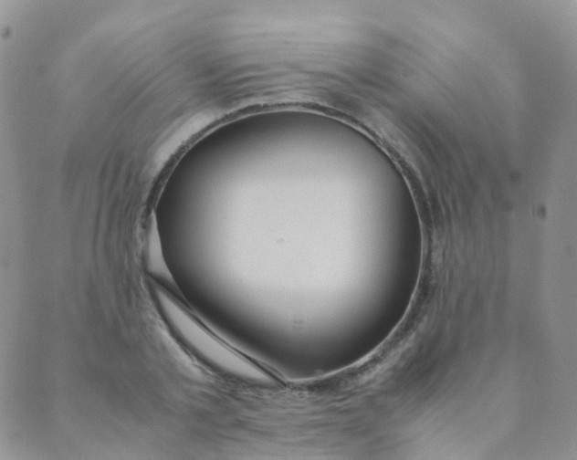 X0000089410789200707061253