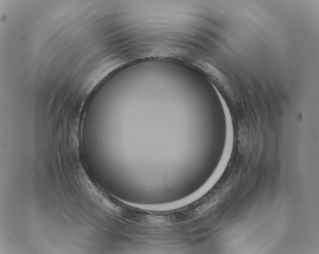 X0000089410794200707061253