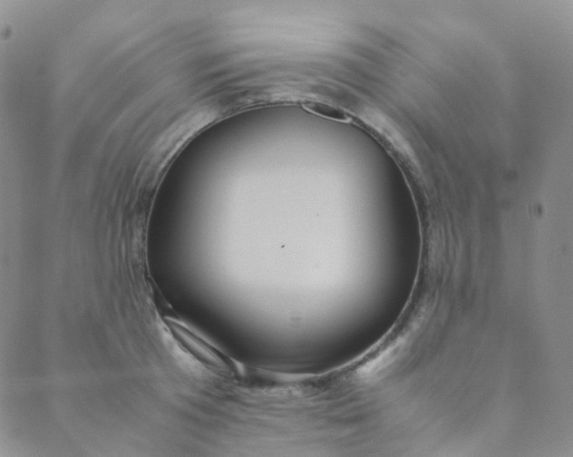 X0000089410801200707061252