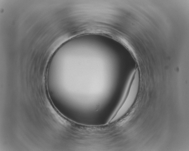 X0000089410803200707061252