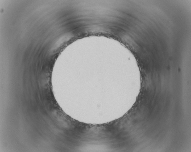 X0000089410824200707061252