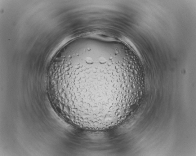 X0000089410851200707061252