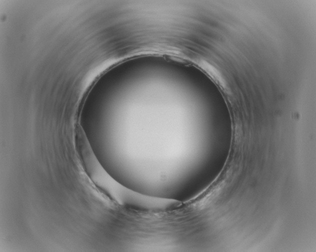X0000089410854200707061252