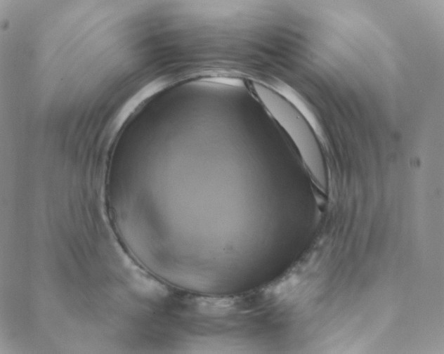 X0000089410861200707061252