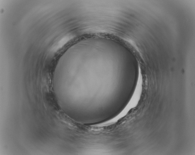 X0000089410871200707061251