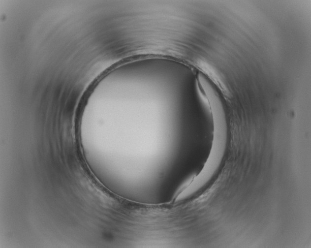 X0000089410884200707061251