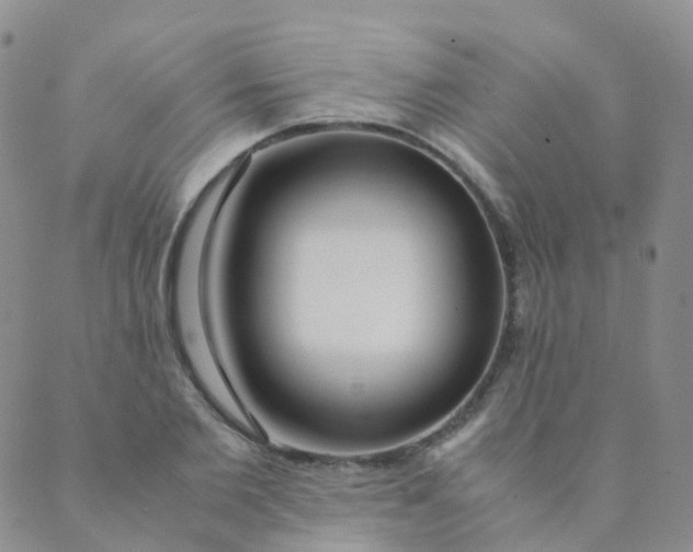 X0000089410885200707061251