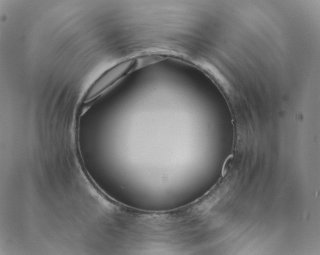 X0000089410902200707061251