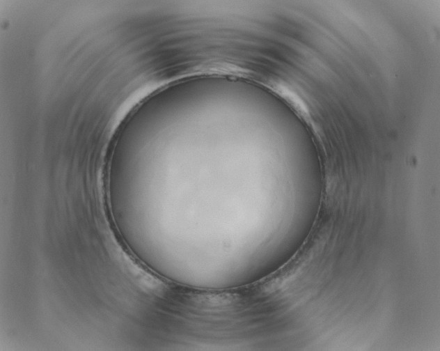 X0000089410947200707061250