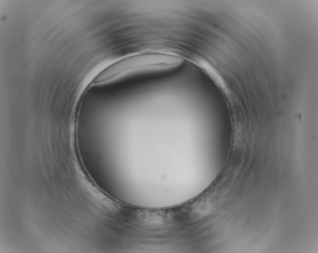 X0000089410955200707061251