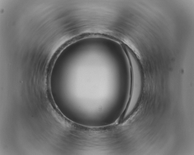 X0000089410976200707061250