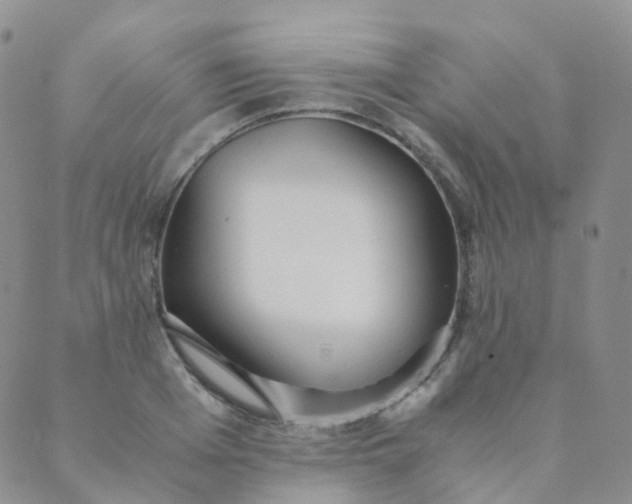 X0000089410985200707061249
